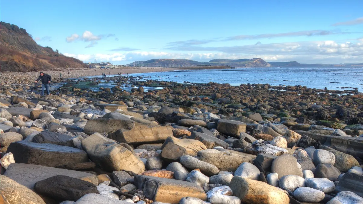 Lyme Regis Fossil Beach